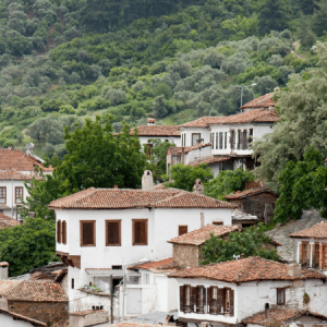 Didim Çıkışlı Şirince (Şarap Köyü) Turu
